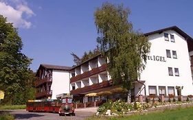 Hotel Igel Gbr